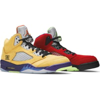 Jordan 5 Retro SE What The