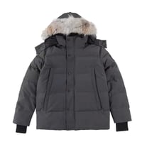 Canada Goose 3
