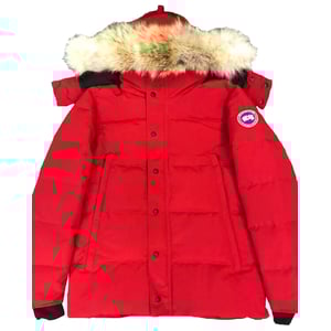 Canada Goose 5