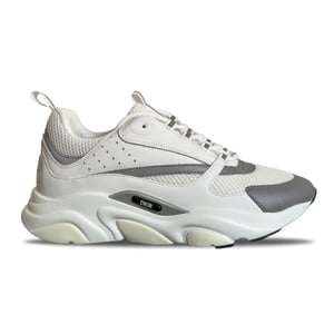 Dior B22 White Grey
