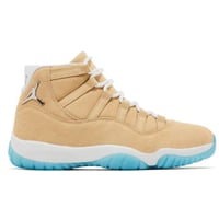 Air Jordan 11 Retro H-Town