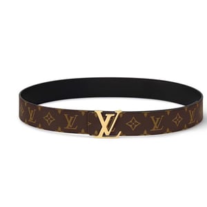 LV Belt 2