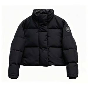 Canada Goose 31
