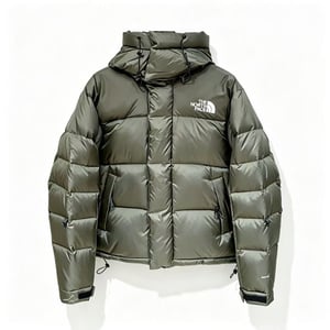 The North Face 4